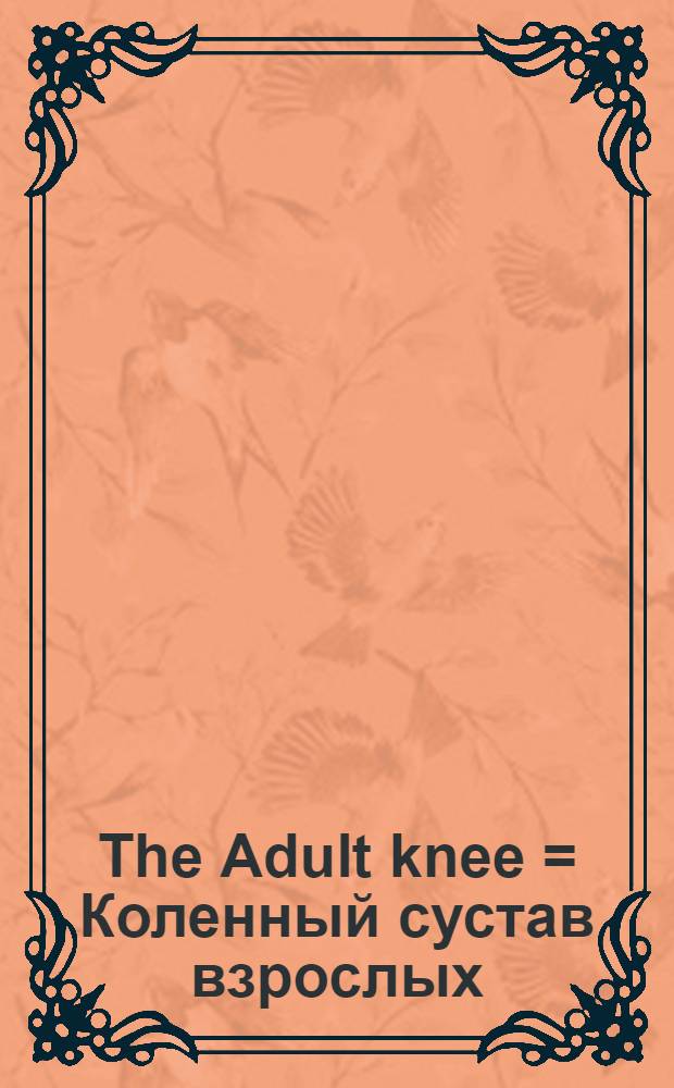 The Adult knee = Коленный сустав взрослых