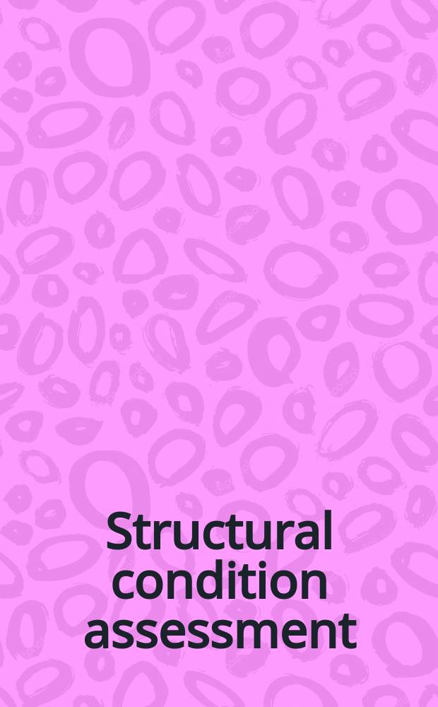 Structural condition assessment