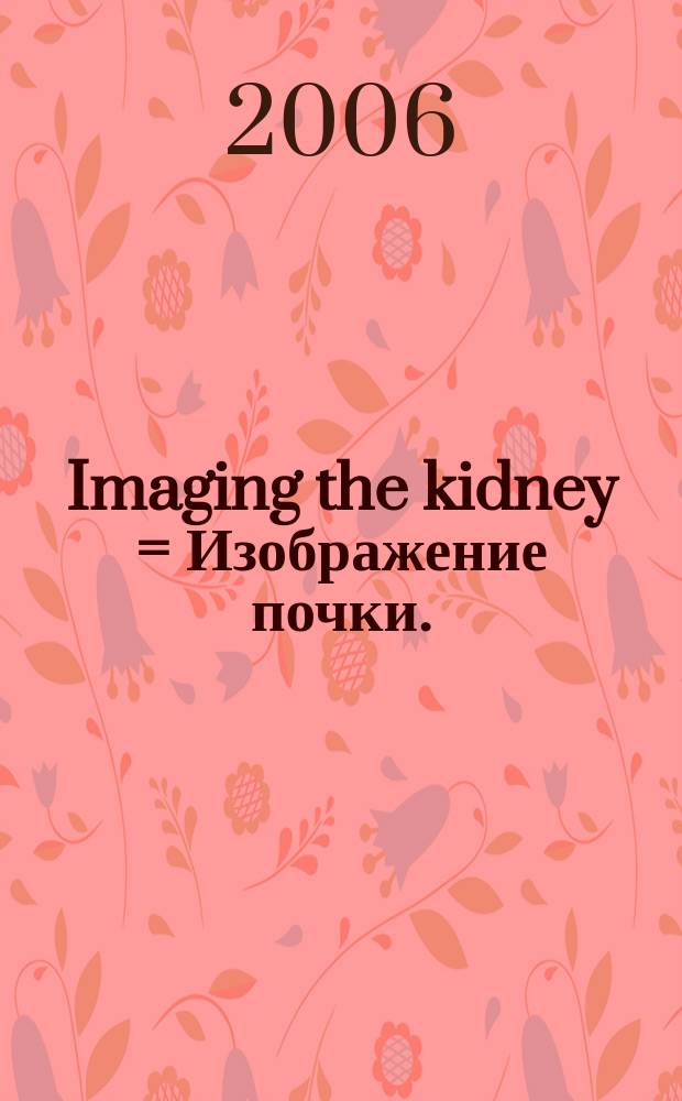 Imaging the kidney = Изображение почки.