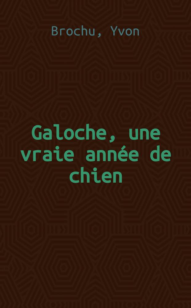 Galoche, une vraie année de chien : roman : pour les jeunes de 8 à 12 ans