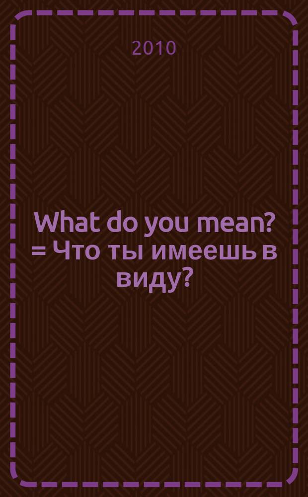 What do you mean? = Что ты имеешь в виду? : the pragmatics of intercultural interaction and communicative styles