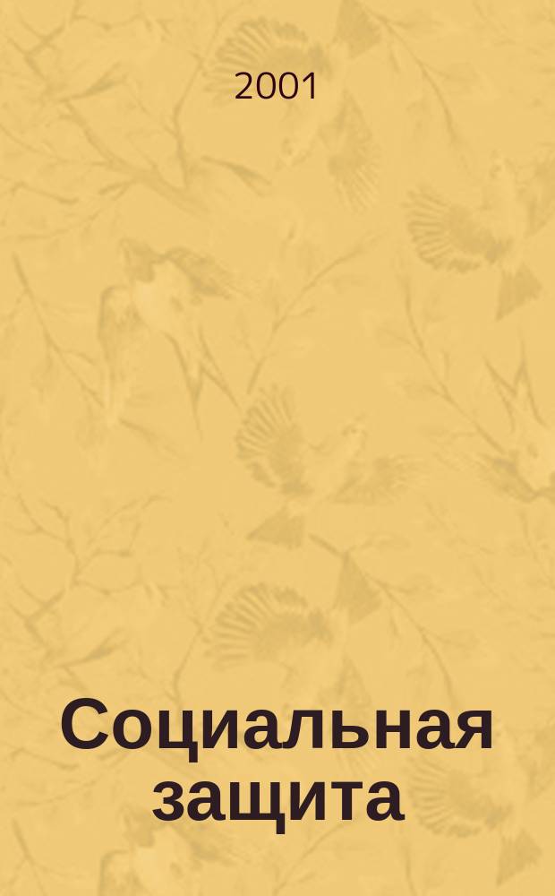 Социальная защита : Массовый ежемес. обществ.-полит. журн. 2001, №6(111)