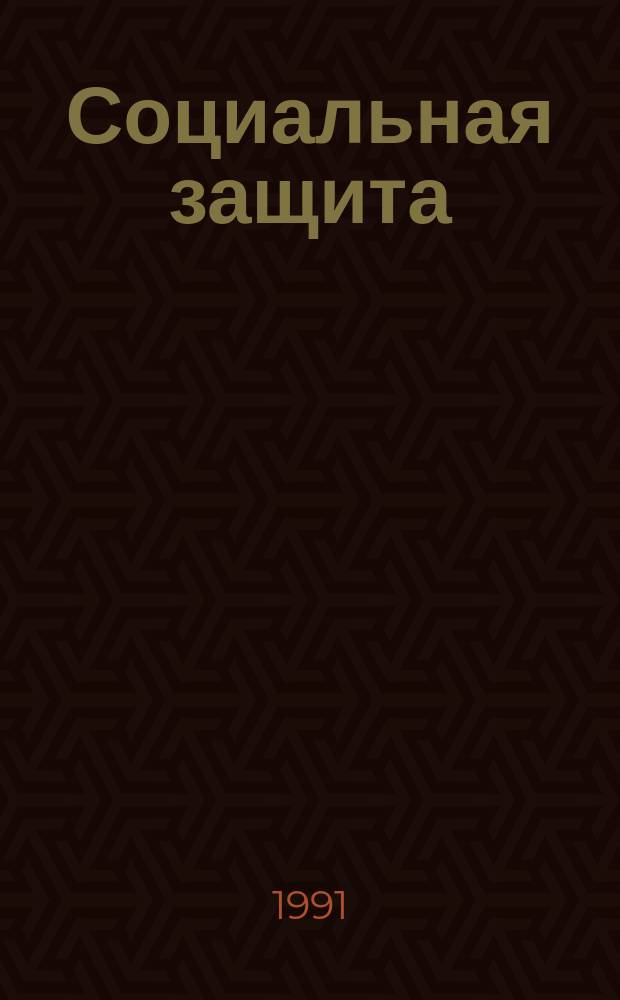 Социальная защита : Обзор. информ. 1991, Вып.13 : Социальная и профессиональная реабилитация инвалидов