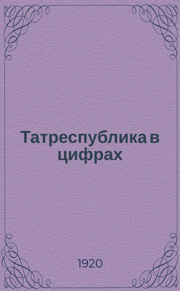 Татреспублика в цифрах : Ежемес. орган Стат. упр. АТССР