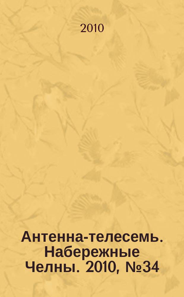 Антенна-телесемь. Набережные Челны. 2010, № 34 (174)