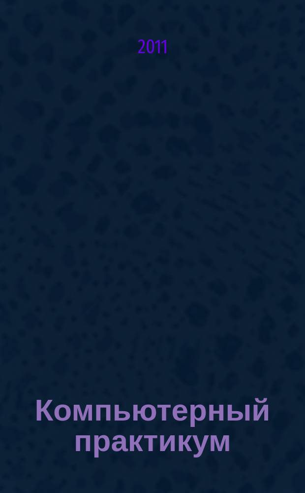 Компьютерный практикум : информационное издание. № 15