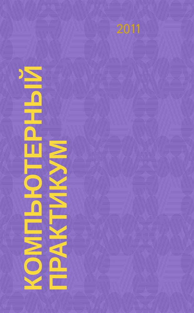Компьютерный практикум : информационное издание. № 20/21