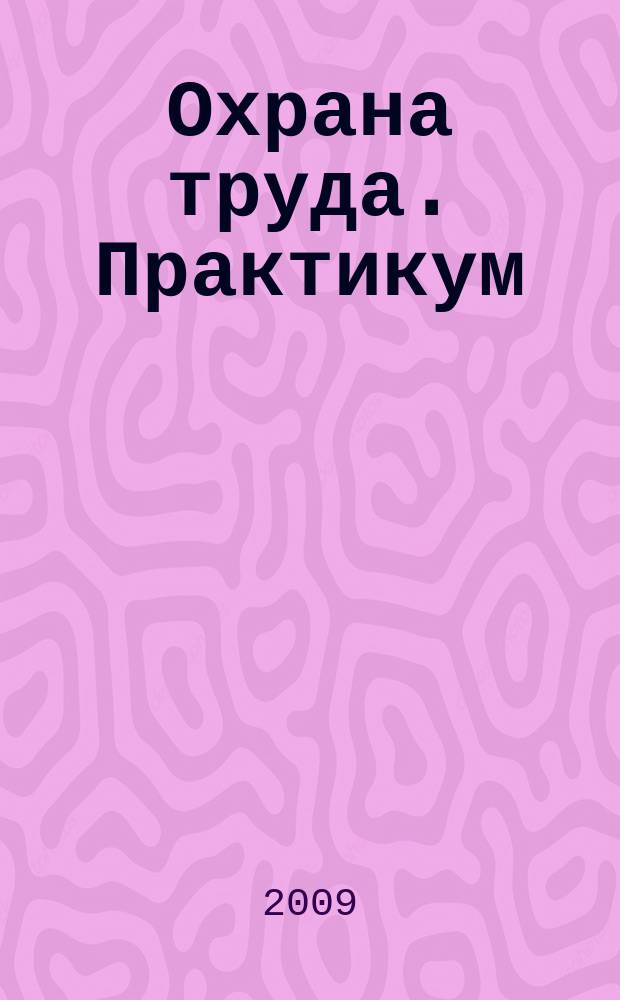 Охрана труда. Практикум : Анализ. несчаст. случаев на пр-ве Лекторий по прогр. обучения Прил. к журн. "Охрана труда и социальное страхование". 2009, № 9