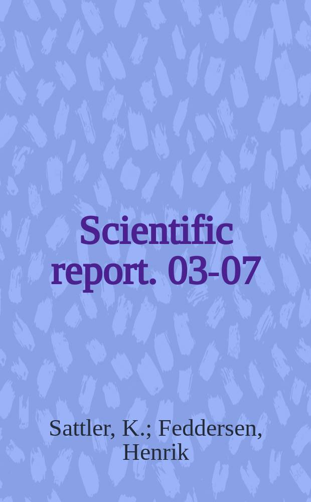 Scientific report. 03-07 : An European flood forecasting system EFFS. Study on the treatment of uncertainties in limited-area NWP rain-fall using different ensemble approaches