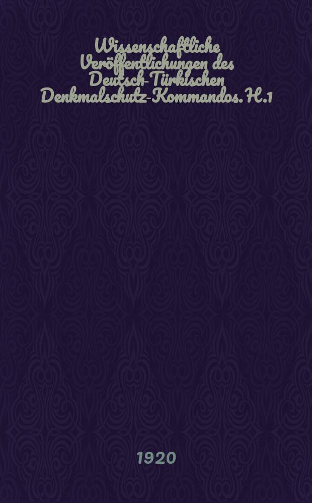 Wissenschaftliche Veröffentlichungen des Deutsch-Türkischen Denkmalschutz-Kommandos. H.1 : Sinai