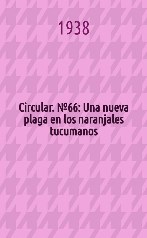 Circular. №66 : Una nueva plaga en los naranjales tucumanos: la "Cochinilla del Delta" (Mesolecanium deltae, Lizer)