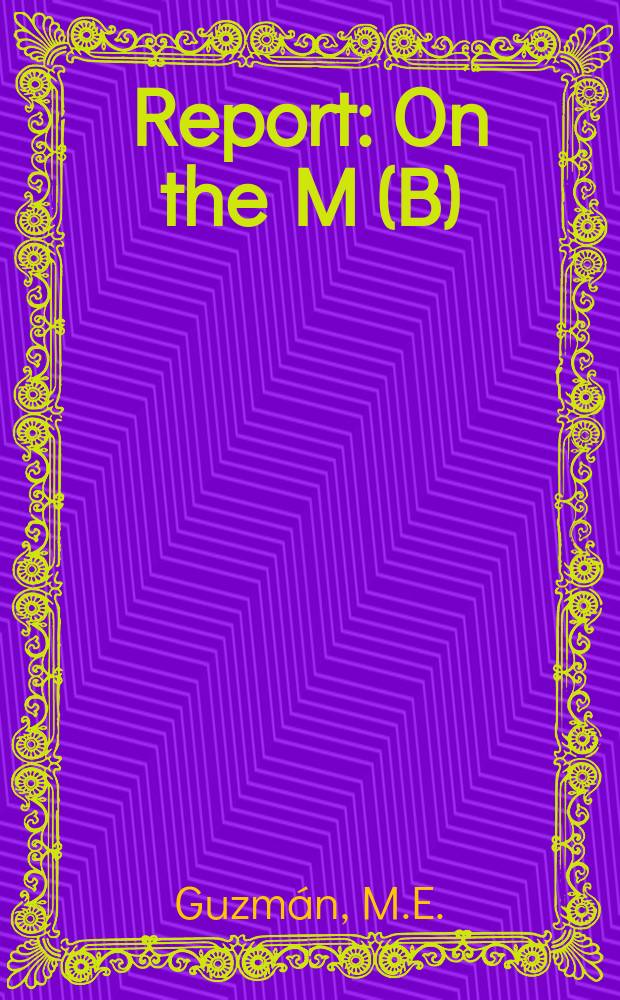 Report : On the M(B)/G/1 queue with different classes ...