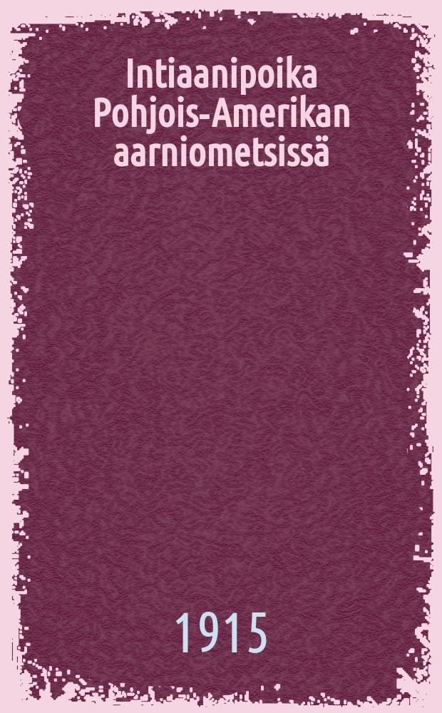 Intiaanipoika Pohjois-Amerikan aarniometsissä = Индийский мальчик