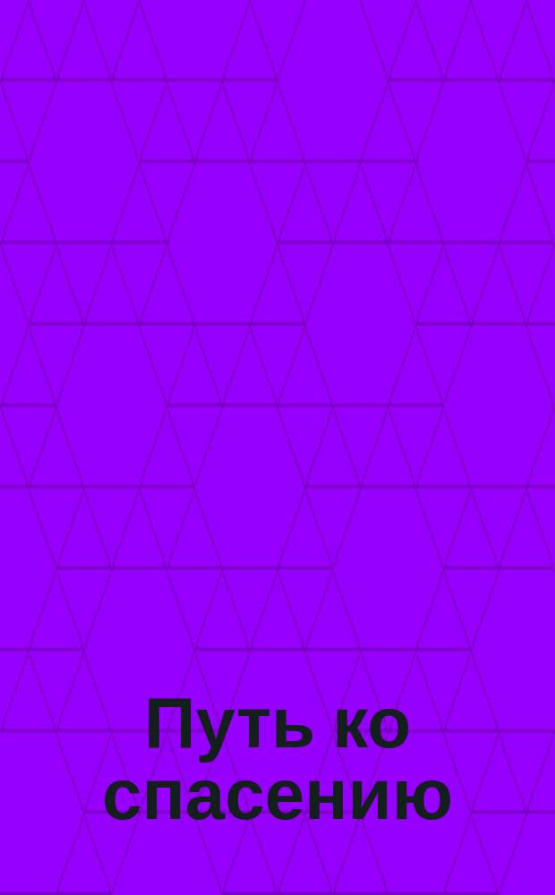 Путь ко спасению : Предлагается верующим православным христианам, начинающим искать спасения