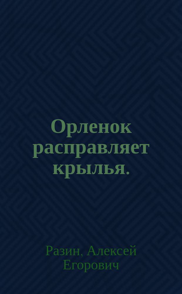 Орленок расправляет крылья. (1694-96 гг.)