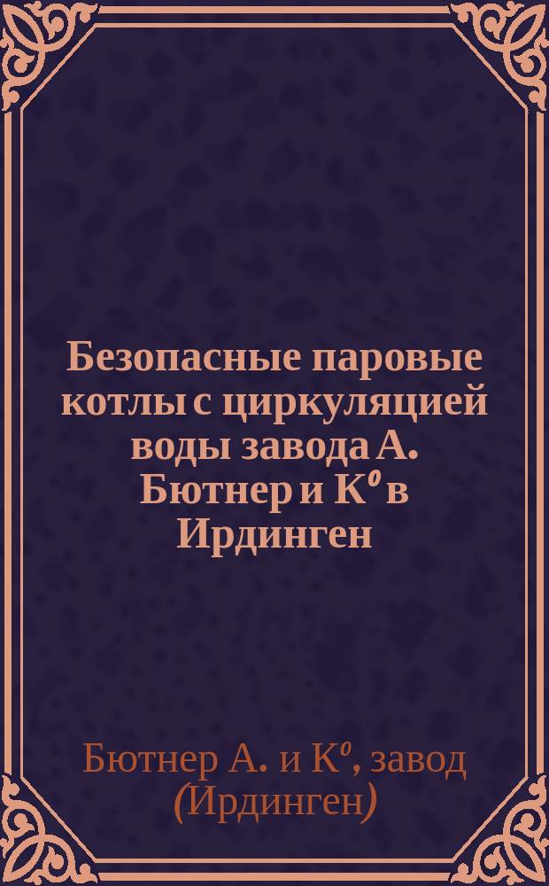 Безопасные паровые котлы с циркуляцией воды завода А. Бютнер и К° в Ирдинген : Проспект