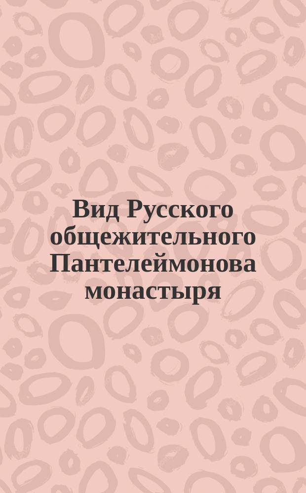 Вид Русского общежительного Пантелеймонова монастыря