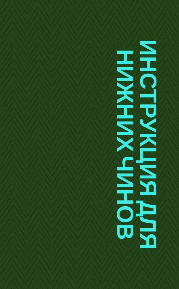 Инструкция [для нижних чинов]