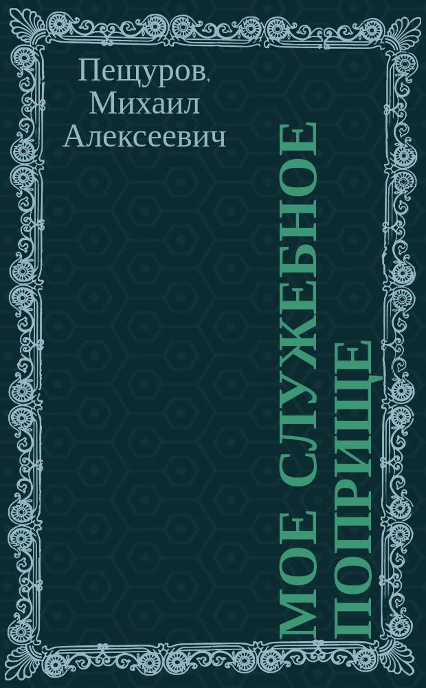 Мое служебное поприще
