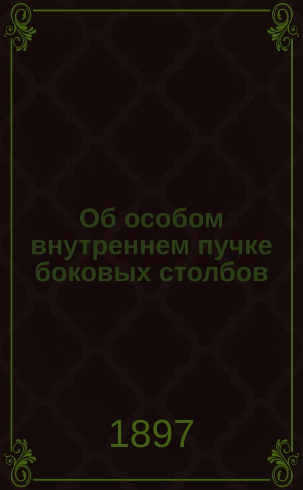 Об особом внутреннем пучке боковых столбов