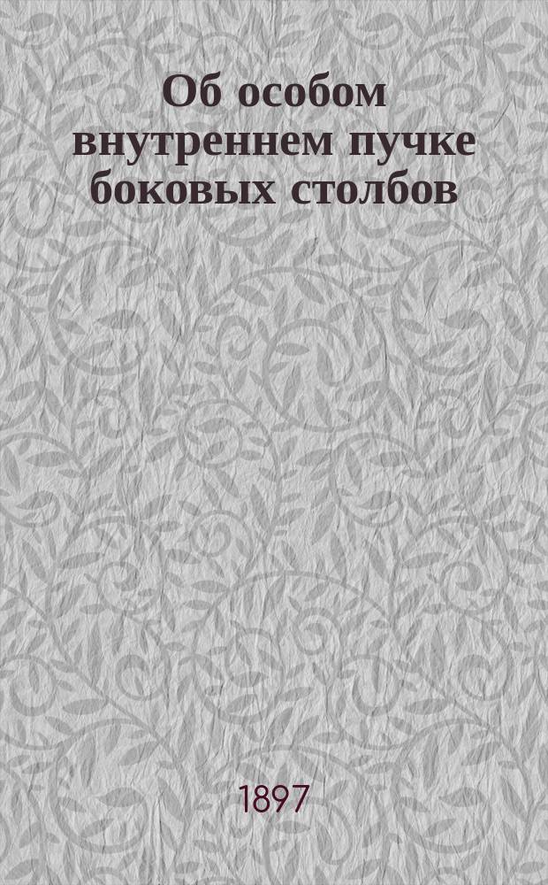 Об особом внутреннем пучке боковых столбов