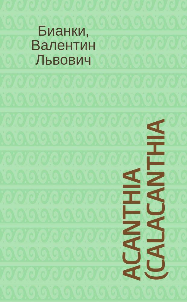 Acanthia (Calacanthia) trybomi (I. Sahld), с Новой земли : (Доложено 30 апр. 1897)