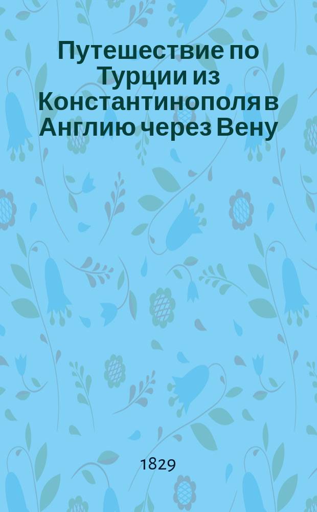 Путешествие по Турции из Константинополя в Англию через Вену