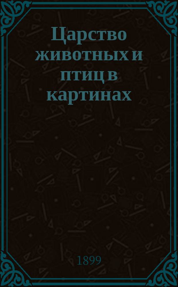 Царство животных и птиц в картинах