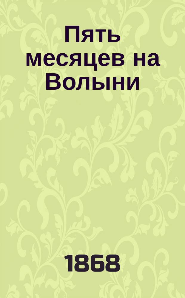 Пять месяцев на Волыни : Острожская летопись 1867 г