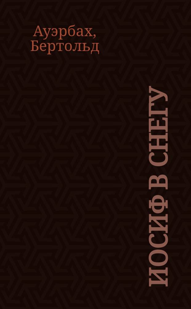 Иосиф в снегу : Роман Бертольда Ауэрбаха