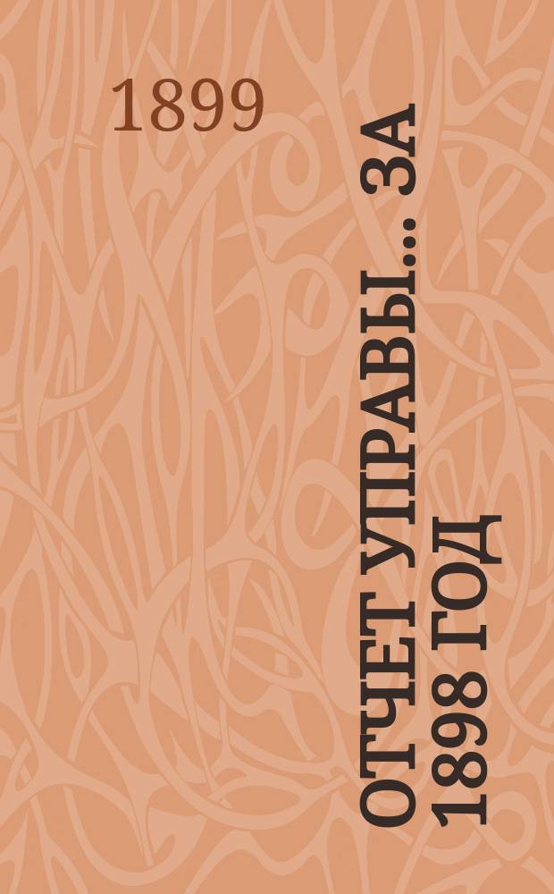 Отчет Управы... за 1898 год