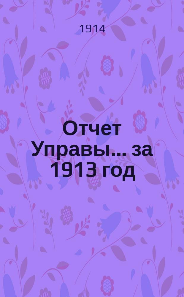 Отчет Управы... за 1913 год