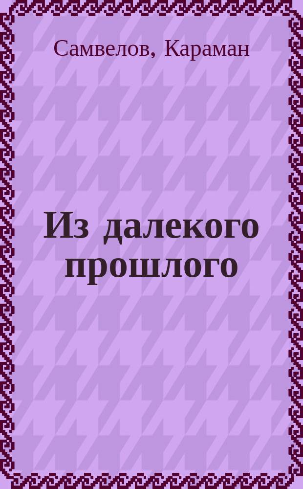 Из далекого прошлого : Рассказ волонтера