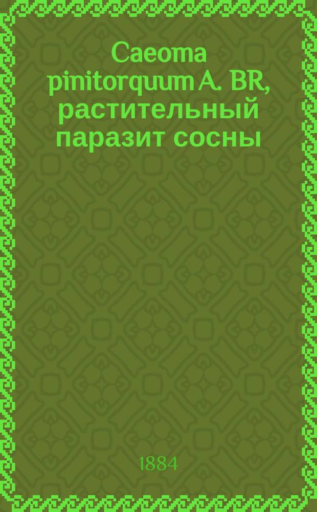 Caeoma pinitorquum A. BR, растительный паразит сосны