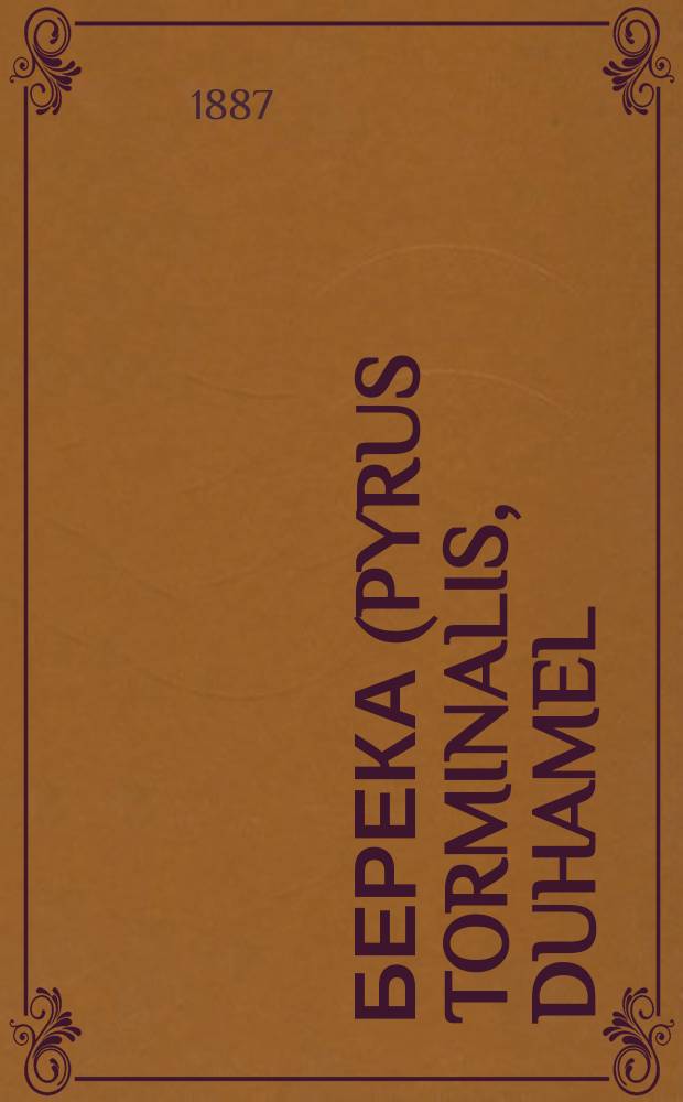Берека (Pyrus torminalis, Duhamel) : Рус. забытая, но превосходная древесная порода