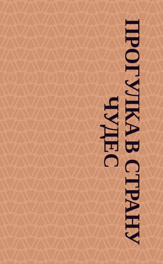 Прогулка в страну чудес