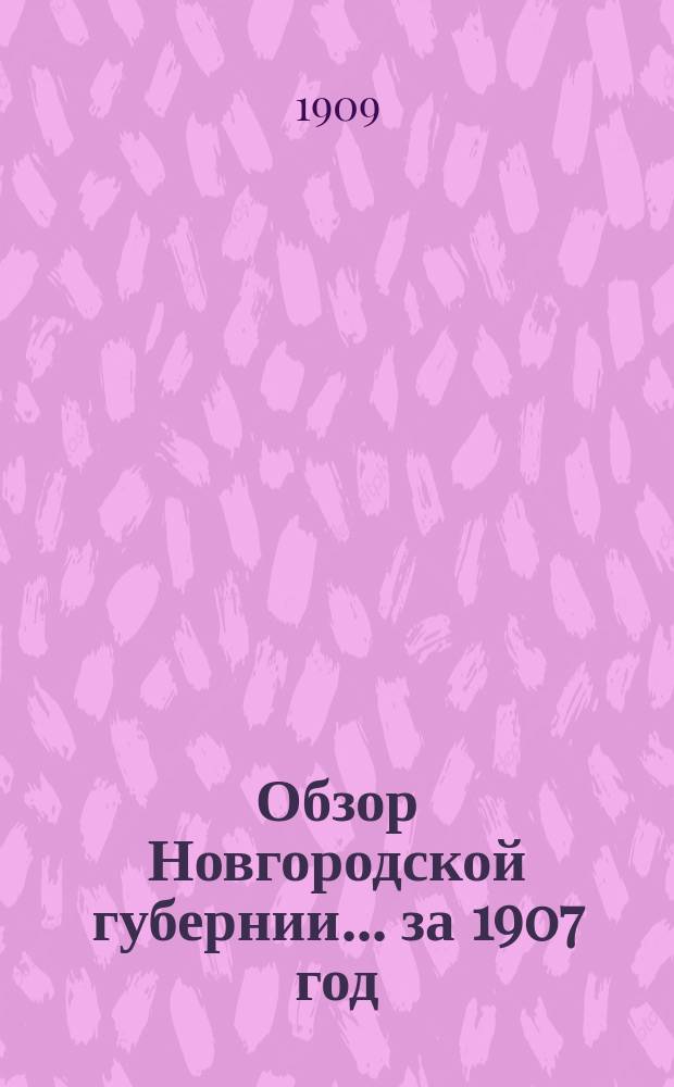 Обзор Новгородской губернии... ... за 1907 год
