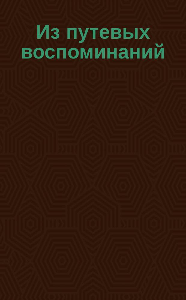 Из путевых воспоминаний