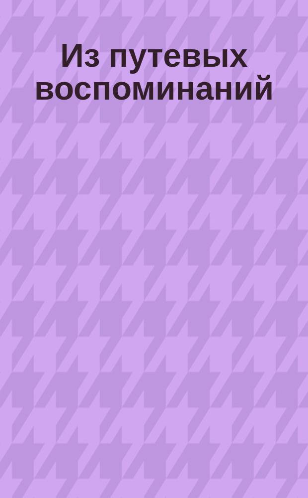 Из путевых воспоминаний