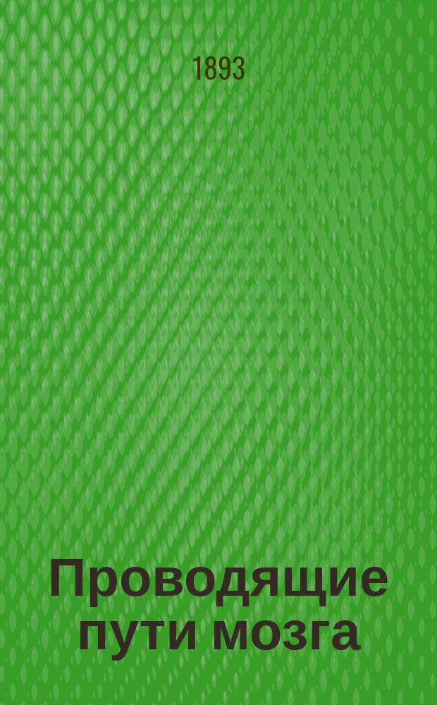 ... Проводящие пути мозга