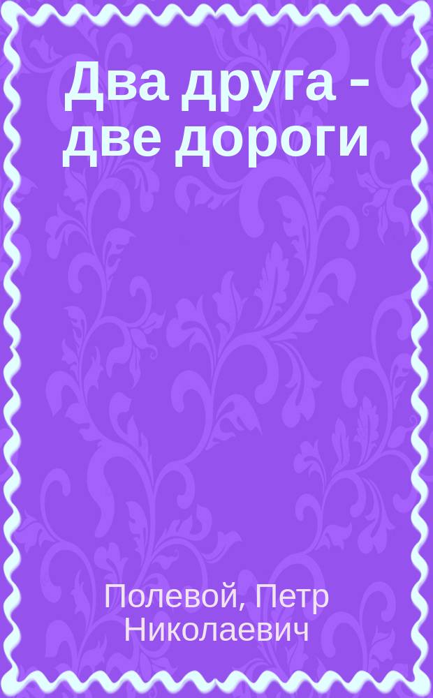 Два друга - две дороги : Повесть для юношества