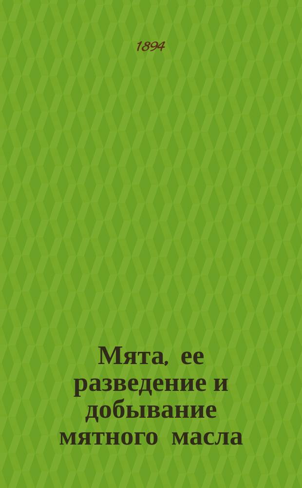Мята, ее разведение и добывание мятного масла