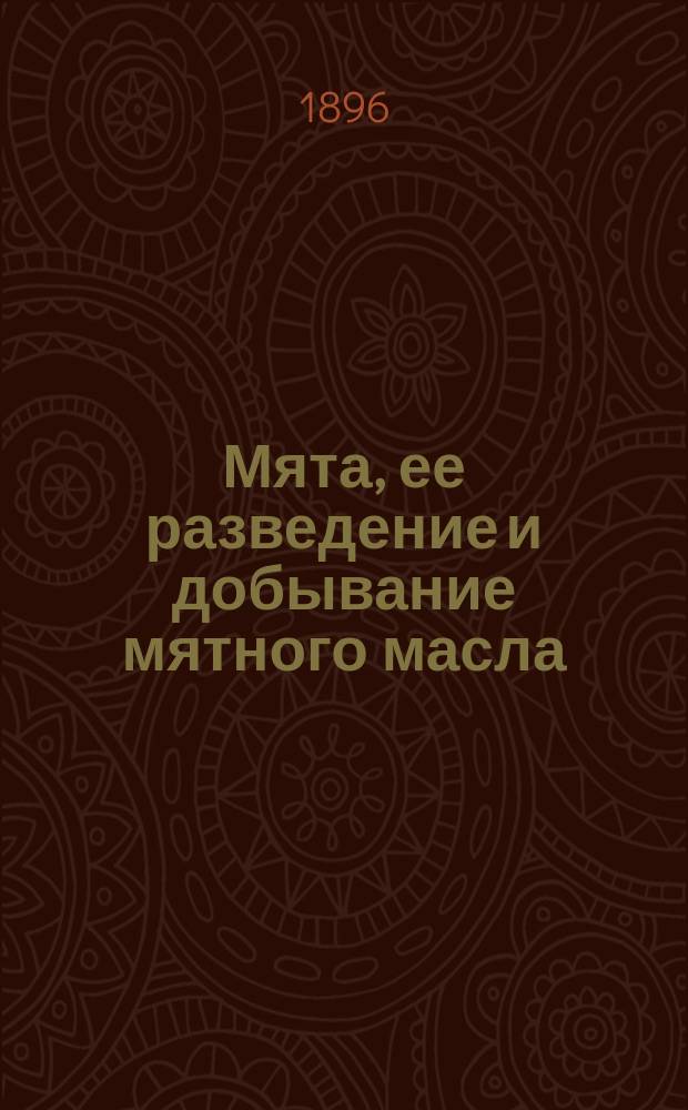 Мята, ее разведение и добывание мятного масла