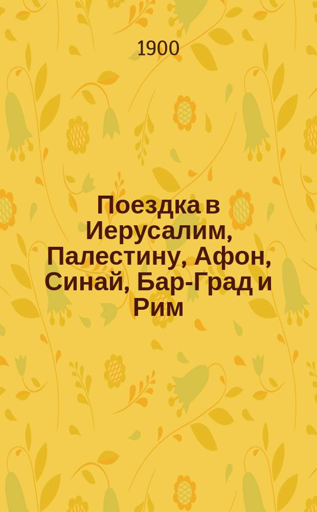 Поездка в Иерусалим, Палестину, Афон, Синай, Бар-Град и Рим