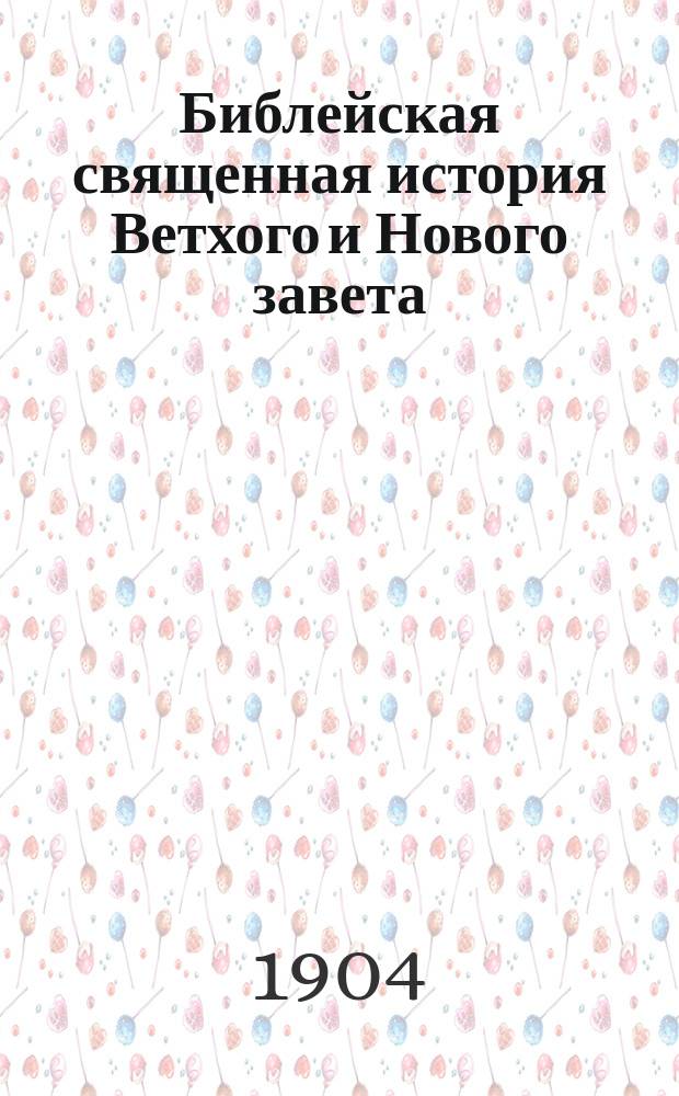 Библейская священная история Ветхого и Нового завета