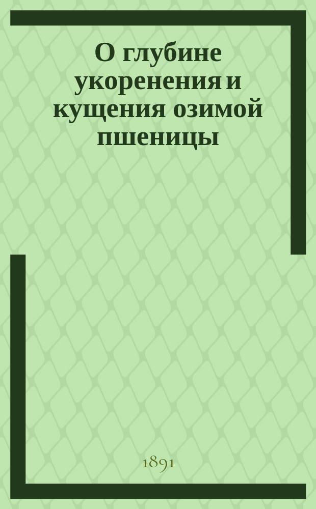 О глубине укоренения и кущения озимой пшеницы