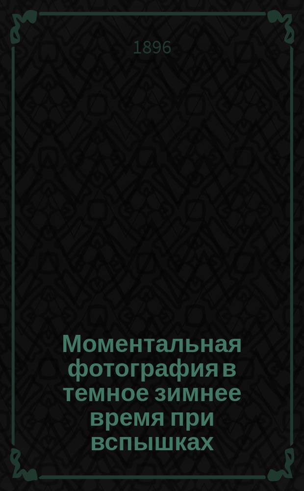 Моментальная фотография в темное зимнее время при вспышках