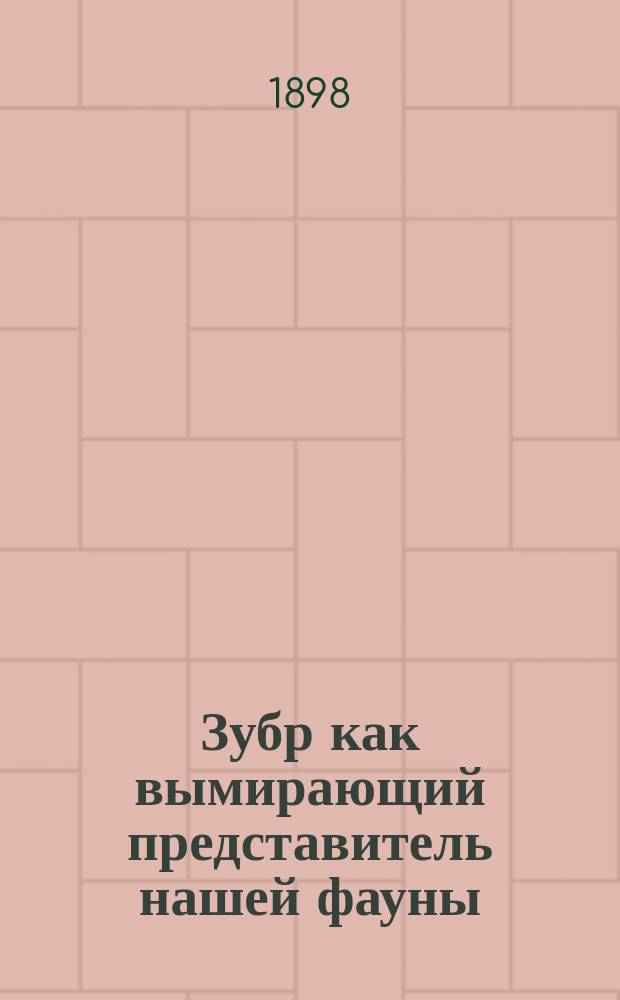 Зубр как вымирающий представитель нашей фауны
