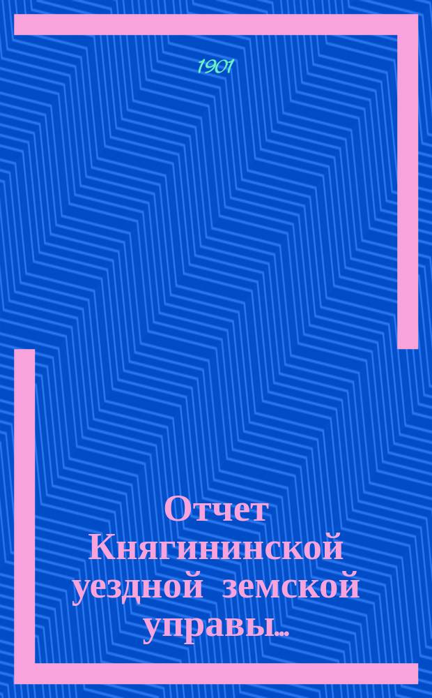 Отчет Княгининской уездной земской управы...