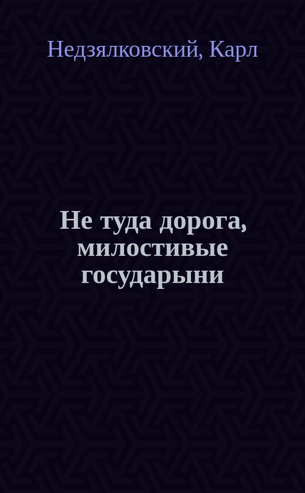 Не туда дорога, милостивые государыни